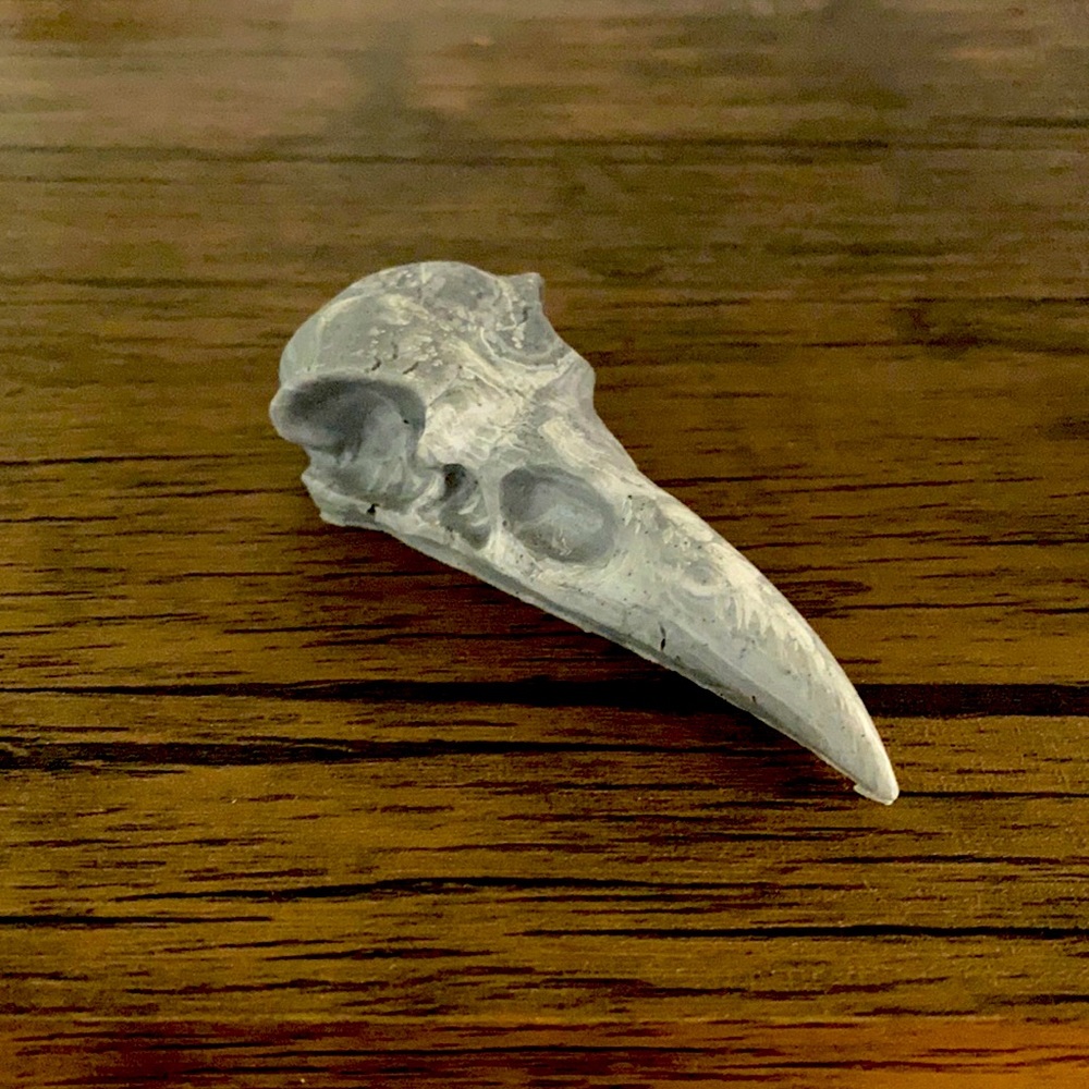 Raven Skull head